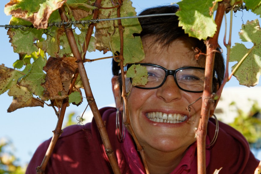 VENDANGES EN FAMILLE