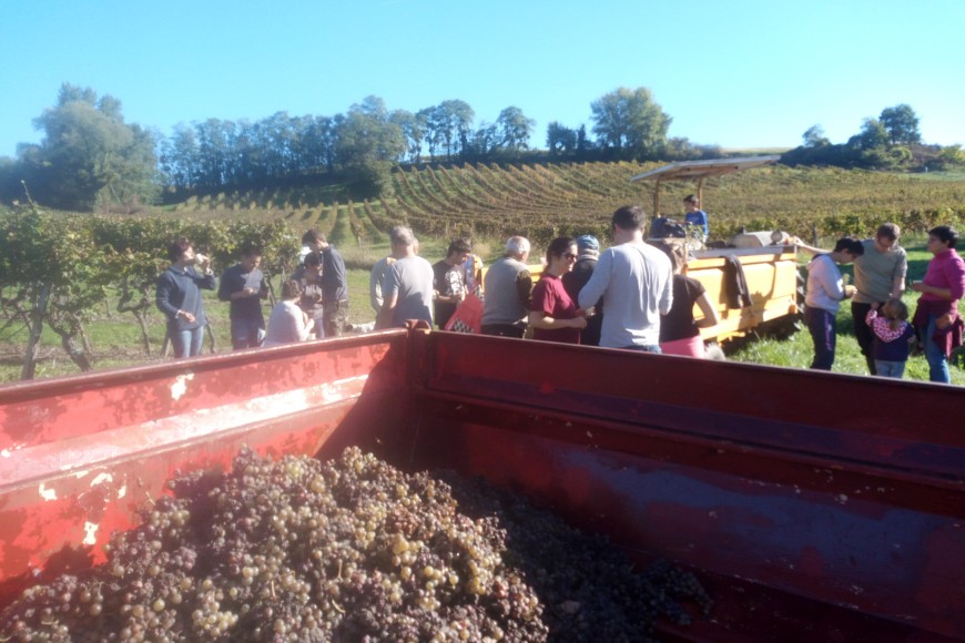 VENDANGES EN FAMILLE