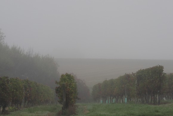 OCTOBRE UN MATIN