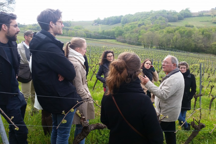 AVEC LES ETUDIANTS DANS LES VIGNES