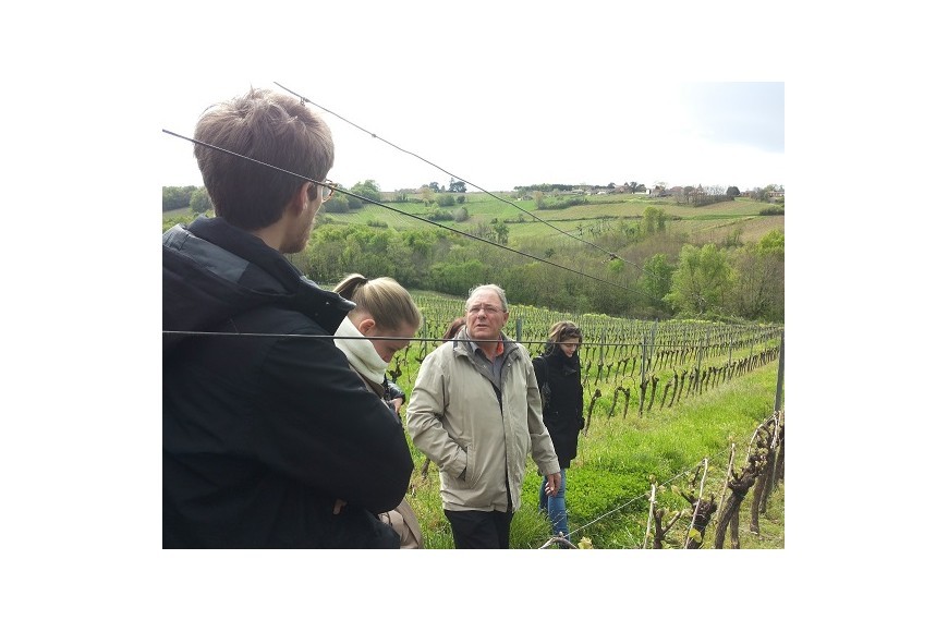 AVEC LES ETUDIANTS DANS LES VIGNES