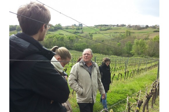 AVEC LES ETUDIANTS DANS LES VIGNES