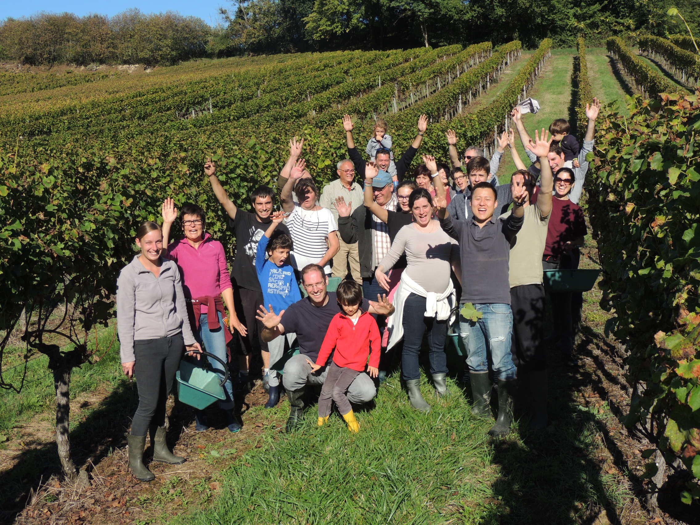 Ah ! vendanges EN FAMILLE